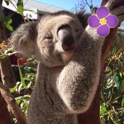 WeiZhu5's tweet photo. #NewProfilePic (新個人資料照片) https://t.co/EJnssXfsfN