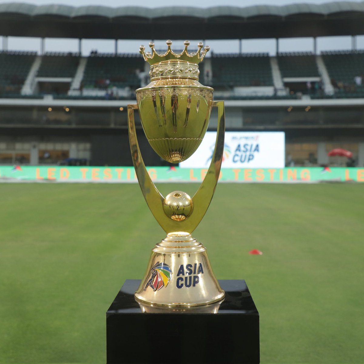 bdcrictime.com tweet media