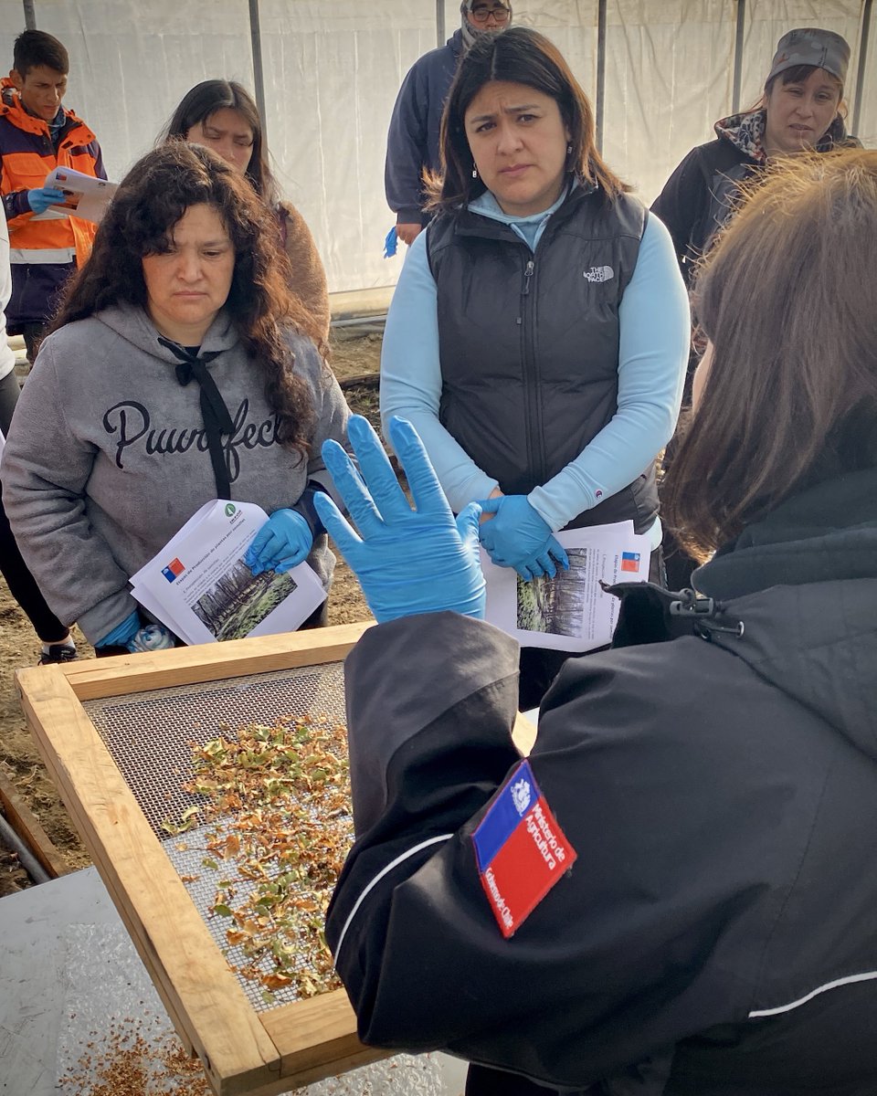 INFOR_Patagonia's tweet photo. #Cochrane Taller de viverización de especies nativas y ornamentales en el marco del programa FNDR “Transferencia Desarrollo Productivo para el Sector Silvícola de la Provincia de Capitán Prat”, con funcionarios de la Municipalidad de Cochrane. https://t.co/3uLk60h3Gf