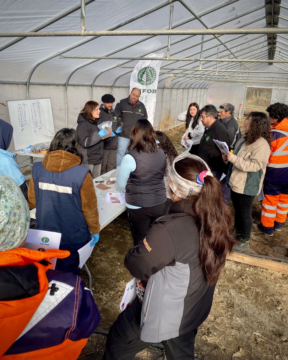 #Cochrane Taller de viverización de especies nativas y ornamentales en el marco del programa FNDR “Transferencia Desarrollo Productivo para el Sector Silvícola de la Provincia de Capitán Prat”, con funcionarios de la Municipalidad de Cochrane.