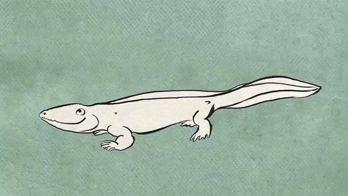 GeneralBitch's tweet image. That’s because those long looks of disgust from women is the closest you’ve ever actually gotten to one. 

Just out of curiosity, how deeply inbred do you have to be to resemble bleached dough? 

Just out here looking like you’re de-evolving to go climb back into the sea. 😂