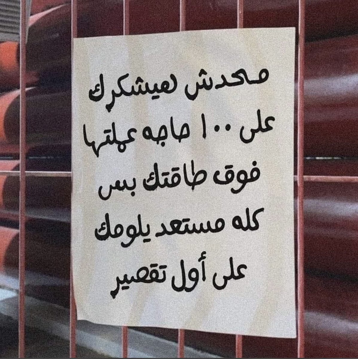 noura_heikal's tweet photo. https://t.co/c4nFa7vdTE