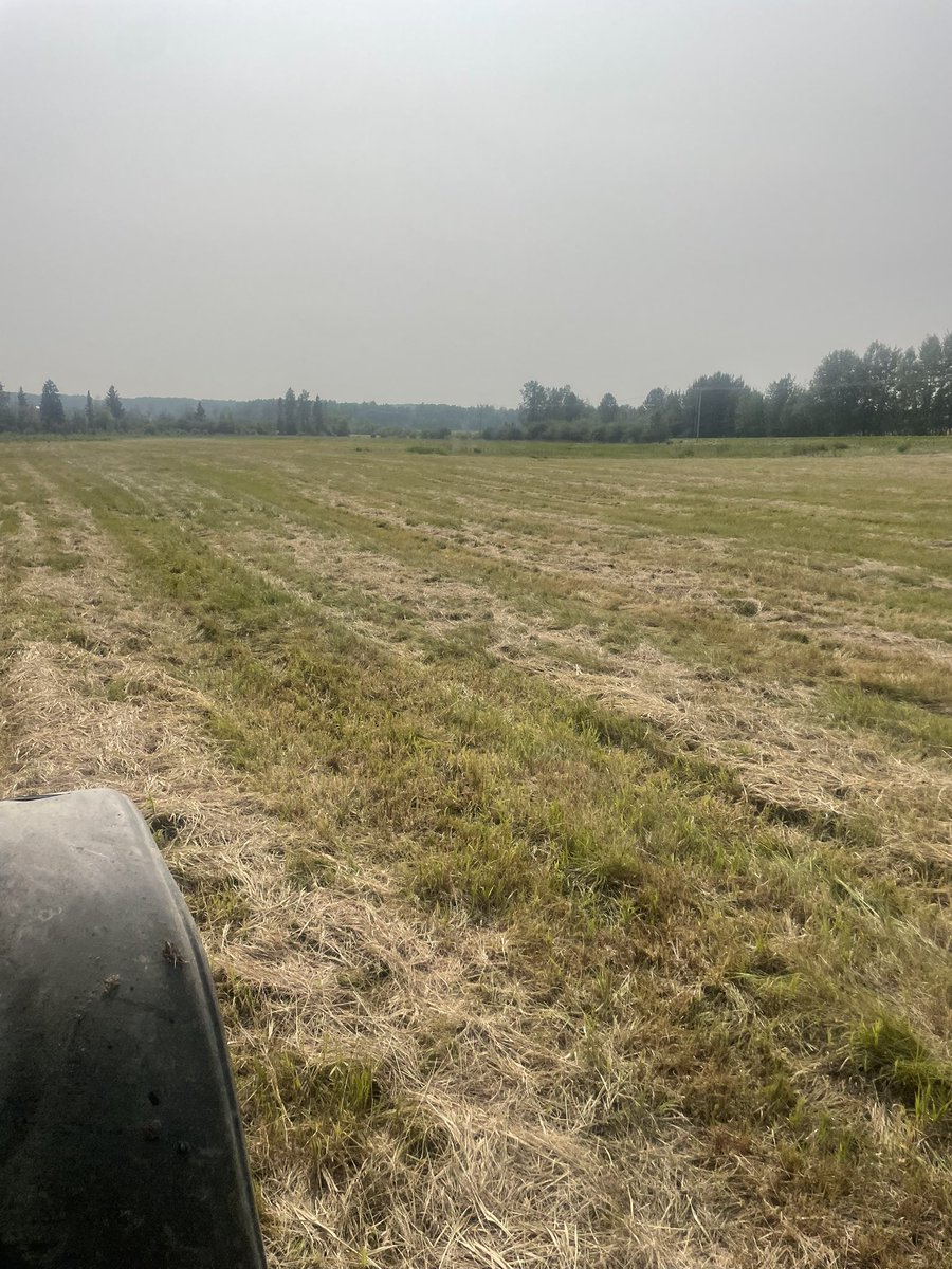 brushhills's tweet photo. The custom hay life. #slowgoing https://t.co/coKluzDbvi