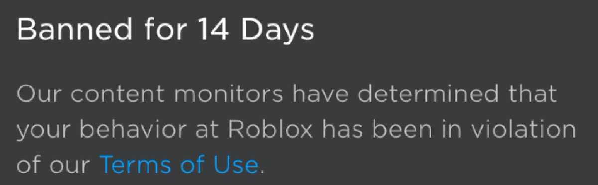 Evanbear1 tweet media