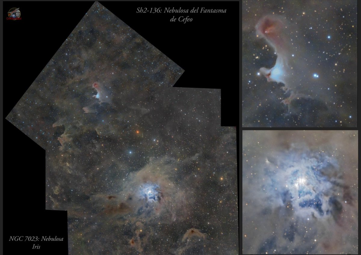 ChaikaTeam's tweet photo. El fantasma de cefeo y la nebulosa Iris. Un mosaico de tres teselas que muestra la proximidad de ambas nebulosas de reflexión en la constelación de Cefeo. Capturas en LRGB probando el nuevo Sharpstar 150 mm f / 2.8 #cielosESA @GruposEstelares @PlanetarioMad @agomezroldan https://t.co/sEZRJVxyVs