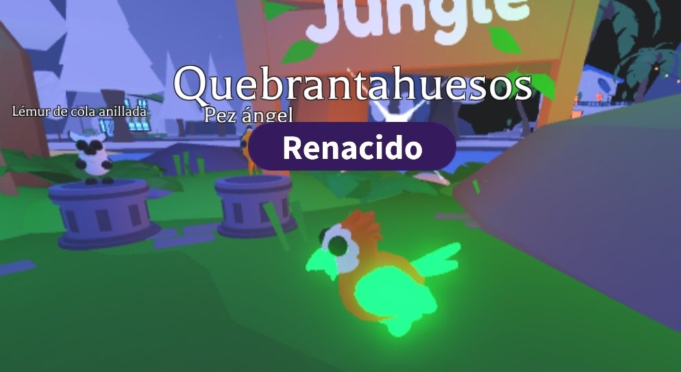 WSajaia's tweet photo. any retweet can win a neon Lammergeier🍈

        🌾ends in 5hrs 🫒 

#adoptme #roblox #gw #amgiveaways https://t.co/P7O0w7kDlP