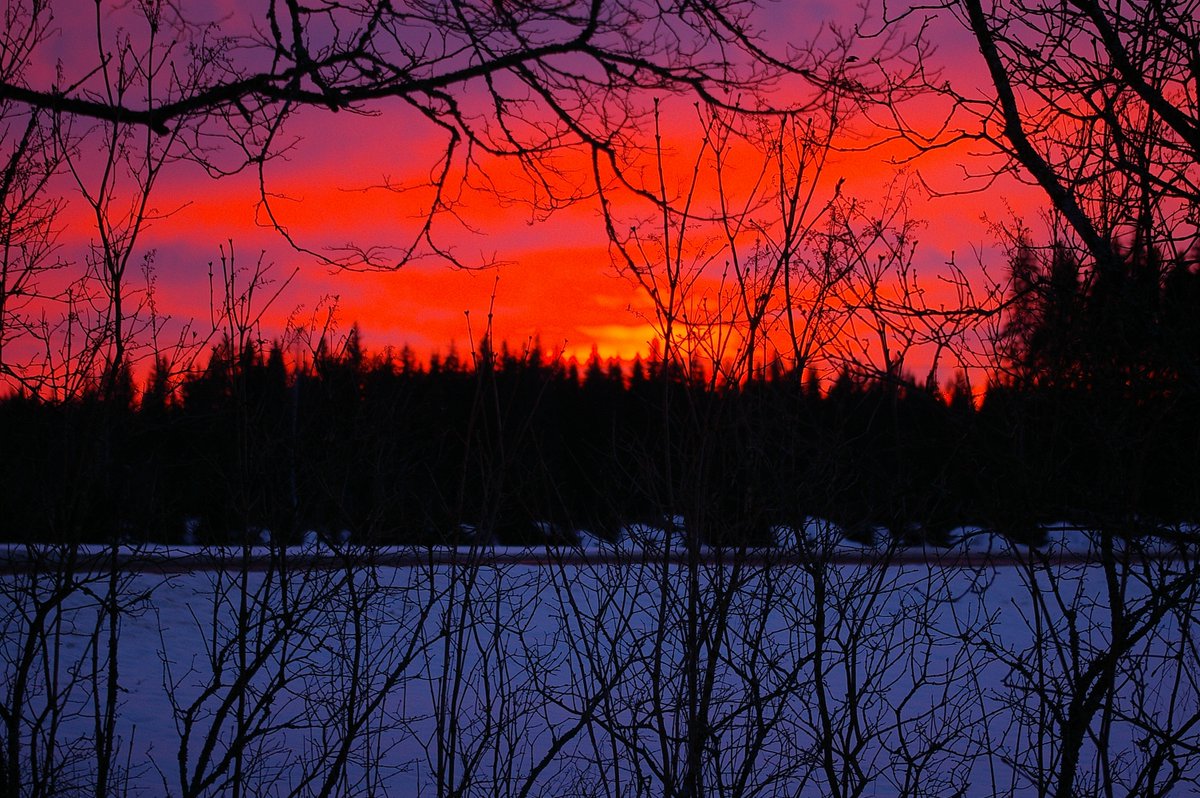 MarkkuPiipponen's tweet photo. #NaturePhotography #nature #suomenluonto #beautiful #Finnishnature #photography #photo #photooftheday #dailypic #NatureBeauty #wildlifephotography #naturelovers https://t.co/x3RfRH8lc4