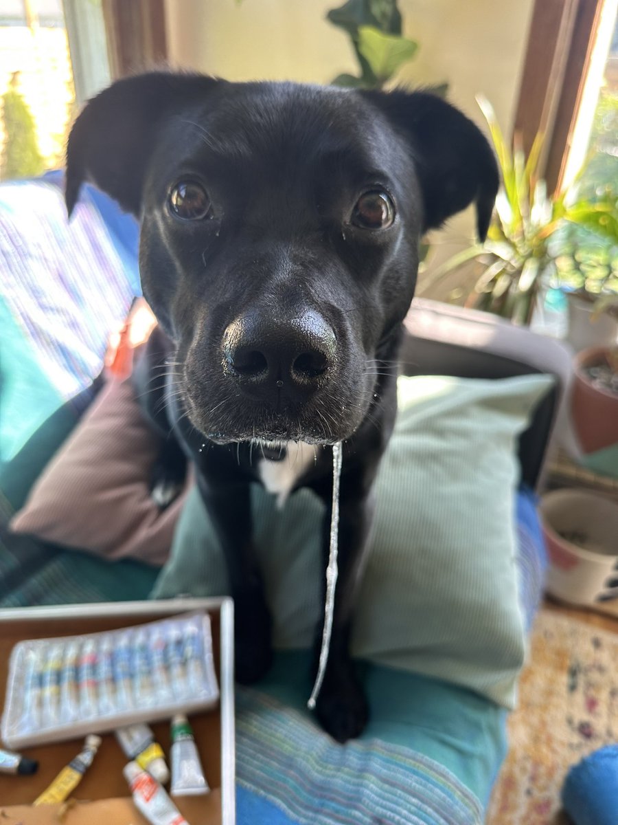 lisa bizzle (@lisa_bizzle) on Twitter photo 