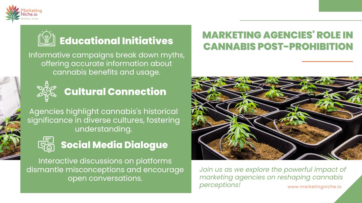Discover how #marketingagencies are driving a positive change in #cannabis acceptance after prohibition. Dive into #campaigns that #challenge #stereotypes and #educate the public. 📢 #CannabisPerception #MarketingImpact #CannabisCommunity #CBD #Hemp #MarketingStrategy