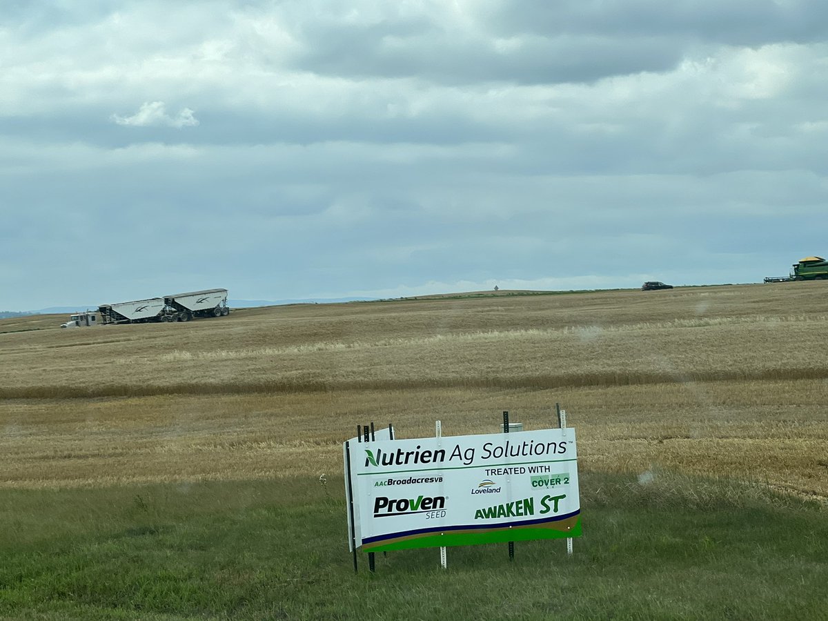 Randi Kuriga tweet media