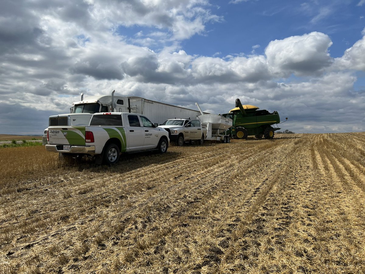 Randi Kuriga tweet media