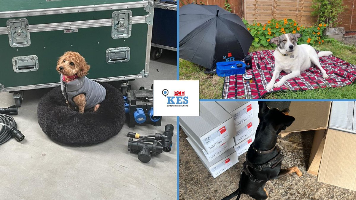 KES Power & Light tweet media