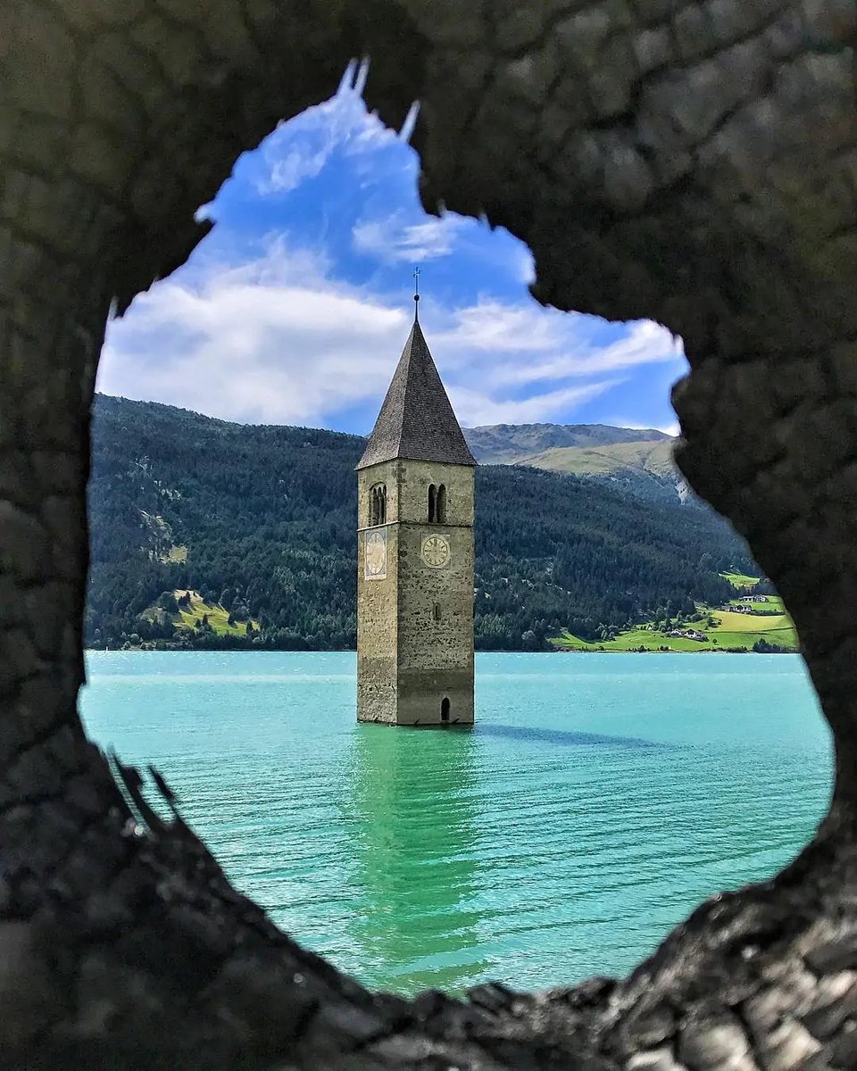 James Lucas tweet media