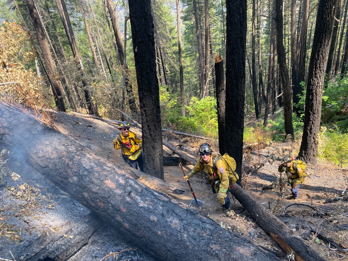 Klamath_NF's tweet image. The Nevada County Strike Team working to gain containment on the west side of the Head Fire on the Happy Camp Complex. Very steep terrain with dead trees and the danger of burning logs rolling downhill. Photo USDA Forest Service courtesy Daniel Ramey