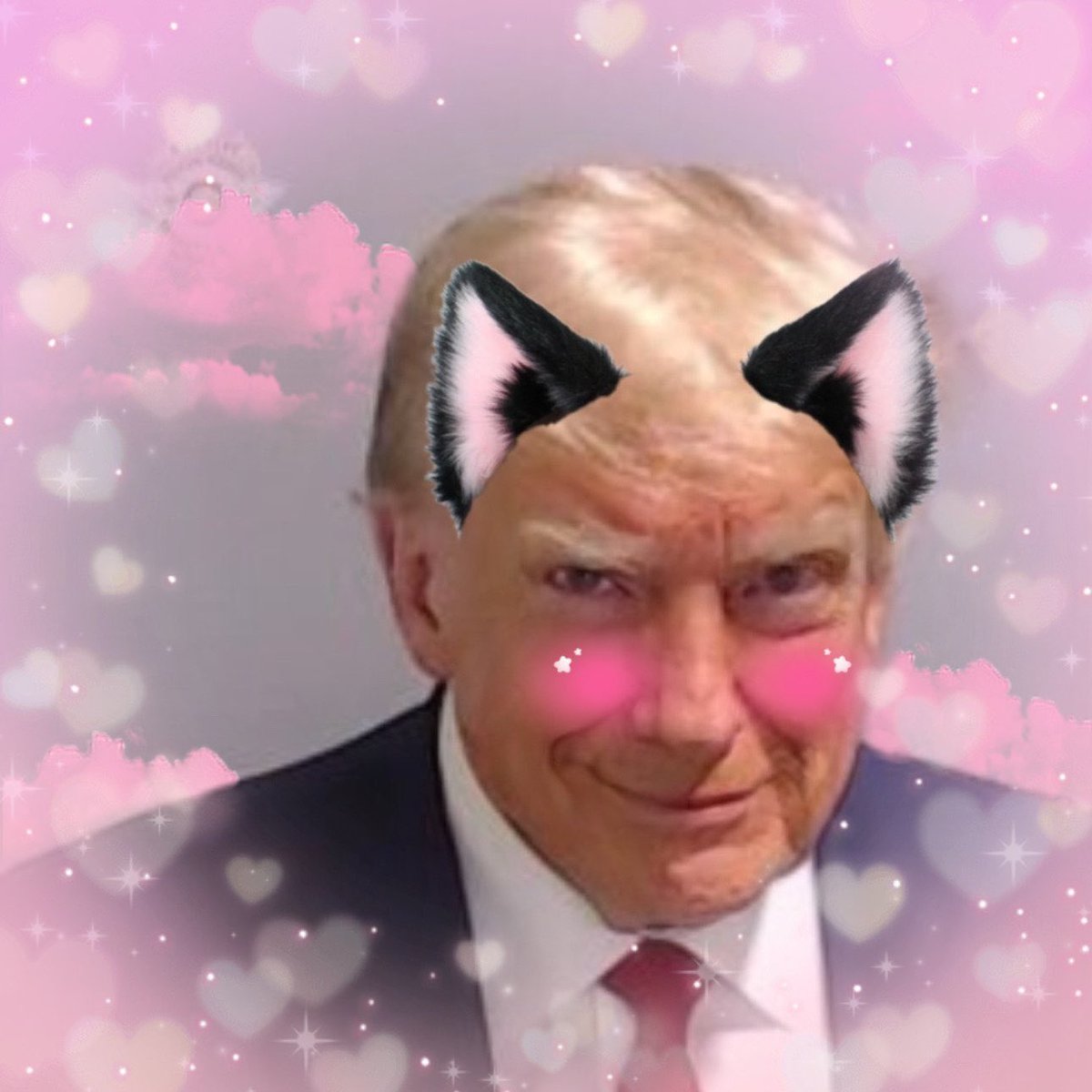 DidiJoho's tweet photo. Donald UwU https://t.co/AwIs3kwMrS
