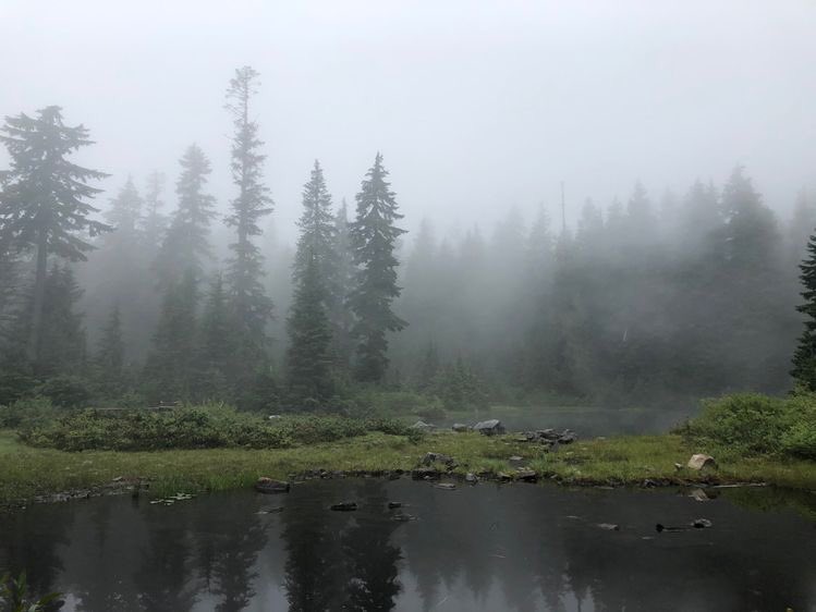 violettweets_'s tweet photo. the fog. https://t.co/JhcKOJBMYB