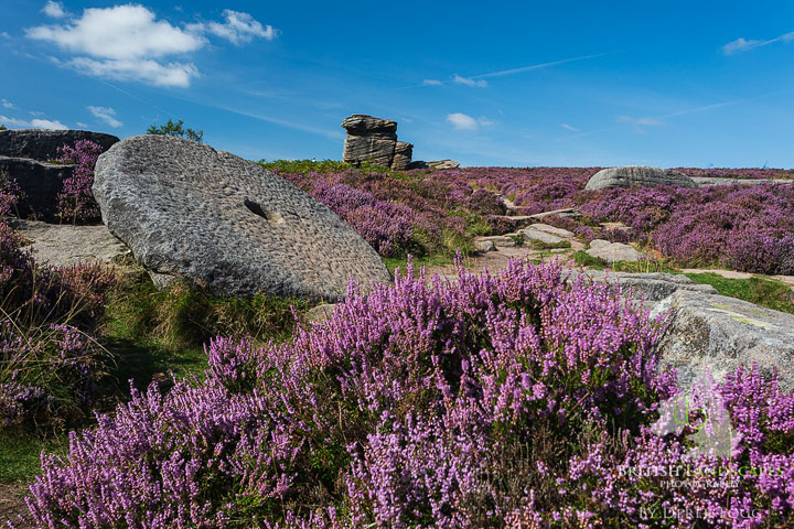 britlandscape's tweet photo. Whilst you are waiting for the Cornwall photo trip post to come out I wanted to share a photo from Millstone Edge in the @peakdistrict National Park which includes one of those iconic millstones and appropriately at this time of year the wonderfully colourful heather. https://t.co/hnZBQp9M4C
