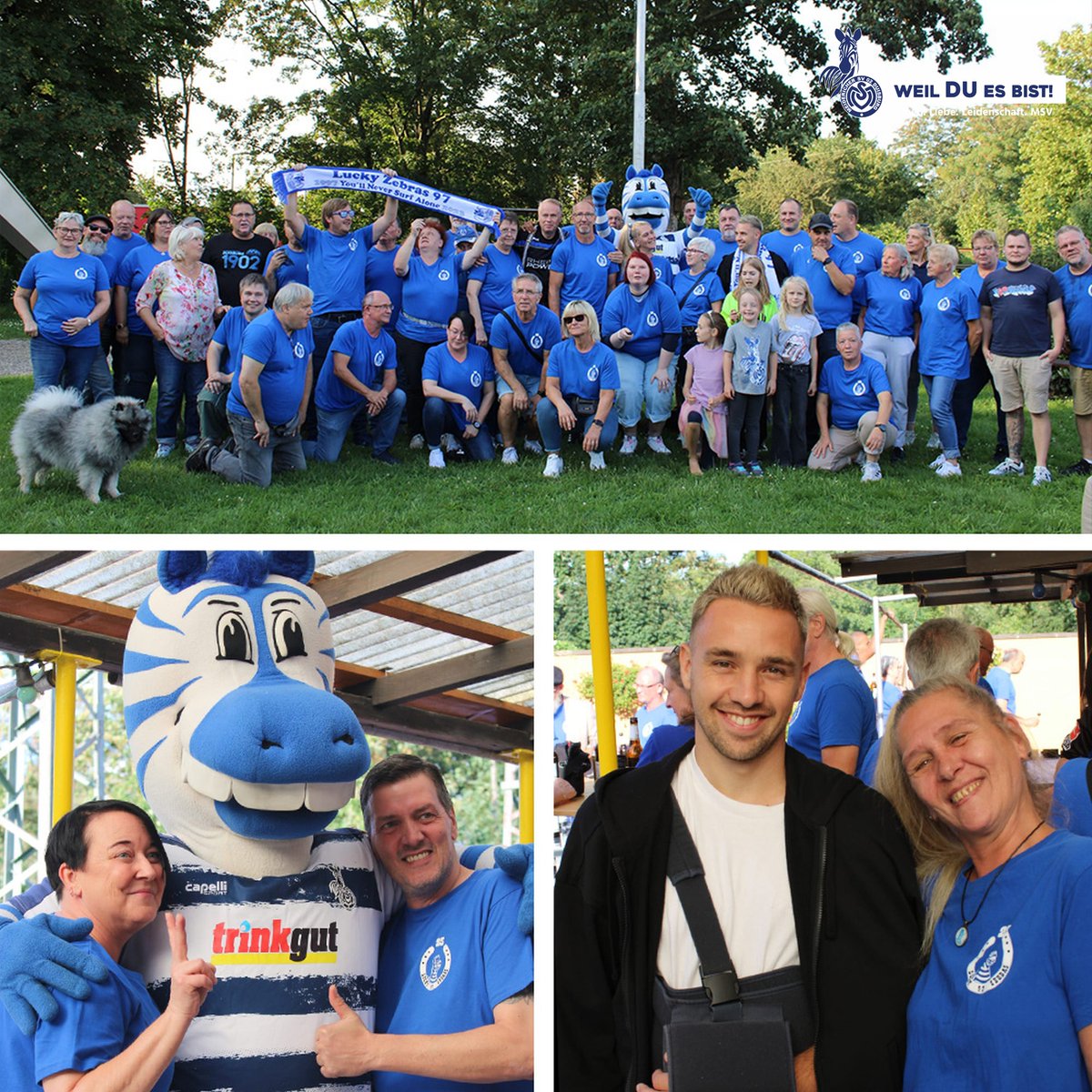 MSVDuisburg's tweet photo. Zwei #MSV-Fanclubs feierten dieser Tage Jubiläum... 🔵⚪
Und ein Trio schaute vorbei: Thomas #Pledl, Joachim #Hopp & #Ennatz gratulierten den RuKa'ner Zebras zu 10 Jahren 🏅 und den Lucky Zebras zu einem Vierteljahrhundert. 🏅
#WeilDUesBist 𝗗𝗨 𝗙𝗔𝗡𝗖𝗟𝗨𝗕! #Duisburg https://t.co/fG2zTR2hsA