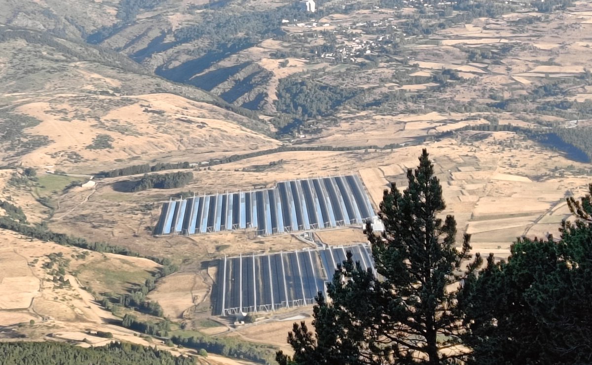 Era l'hàbitat d'espècies amenaçades, com el botxí i la perdiu xerra. Era un espai d'alt valor natural i paisatgístic. Si la destrucció i fragmentació d'hàbitats (la crisi ecològica) ara és verda i sostenible ens caldrà concebre nous termes per a la conservació de la biodiversitat