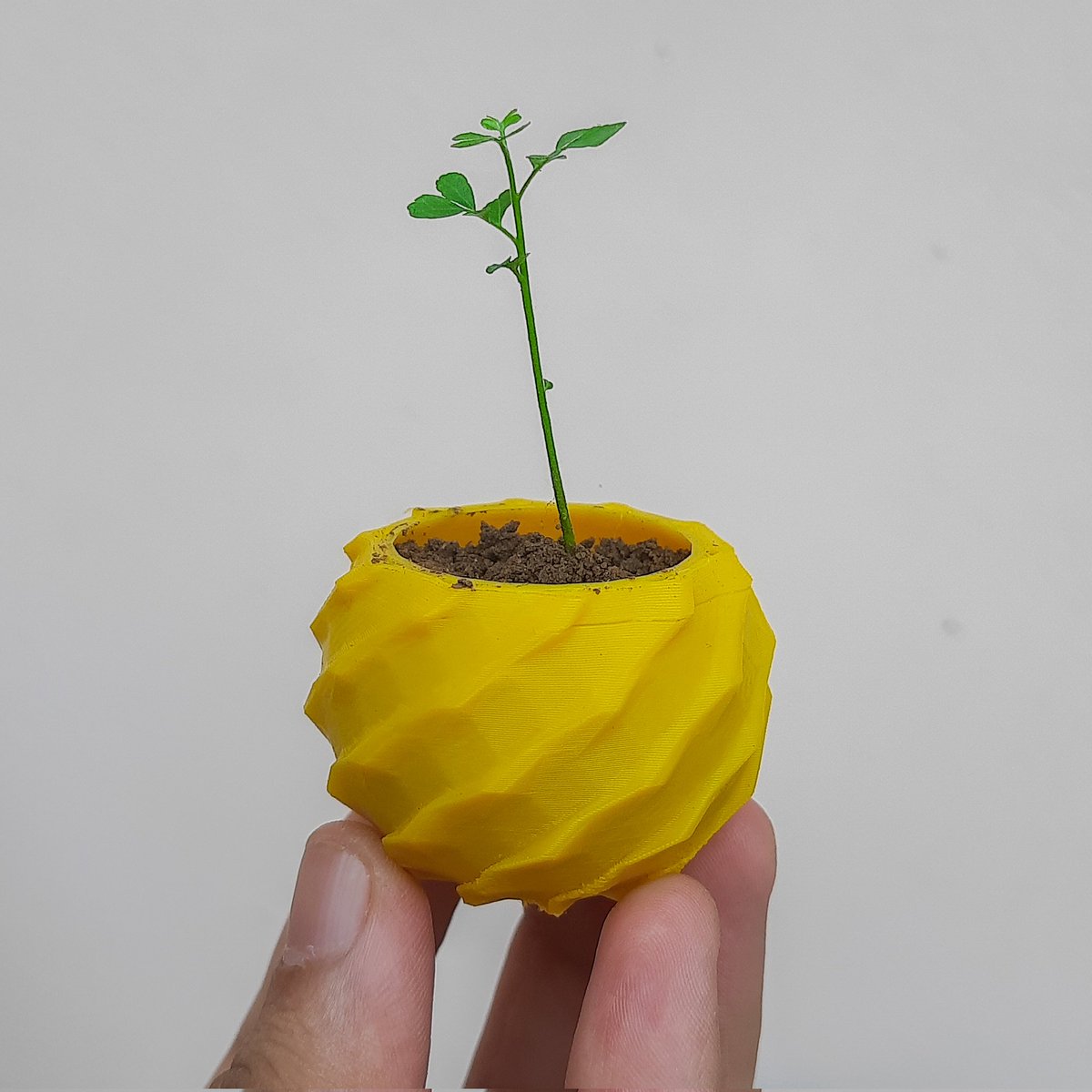 artcreator_Smit's tweet photo. I 3D printed these three adorable little planters this week. 

3D printers I use :
Creality ender 3 S1
Creality ender 3 S1 Plus

Free 3d Stl files available on https://t.co/H1qHiZ7EpJ

#3dprinting https://t.co/EisioW8yRN