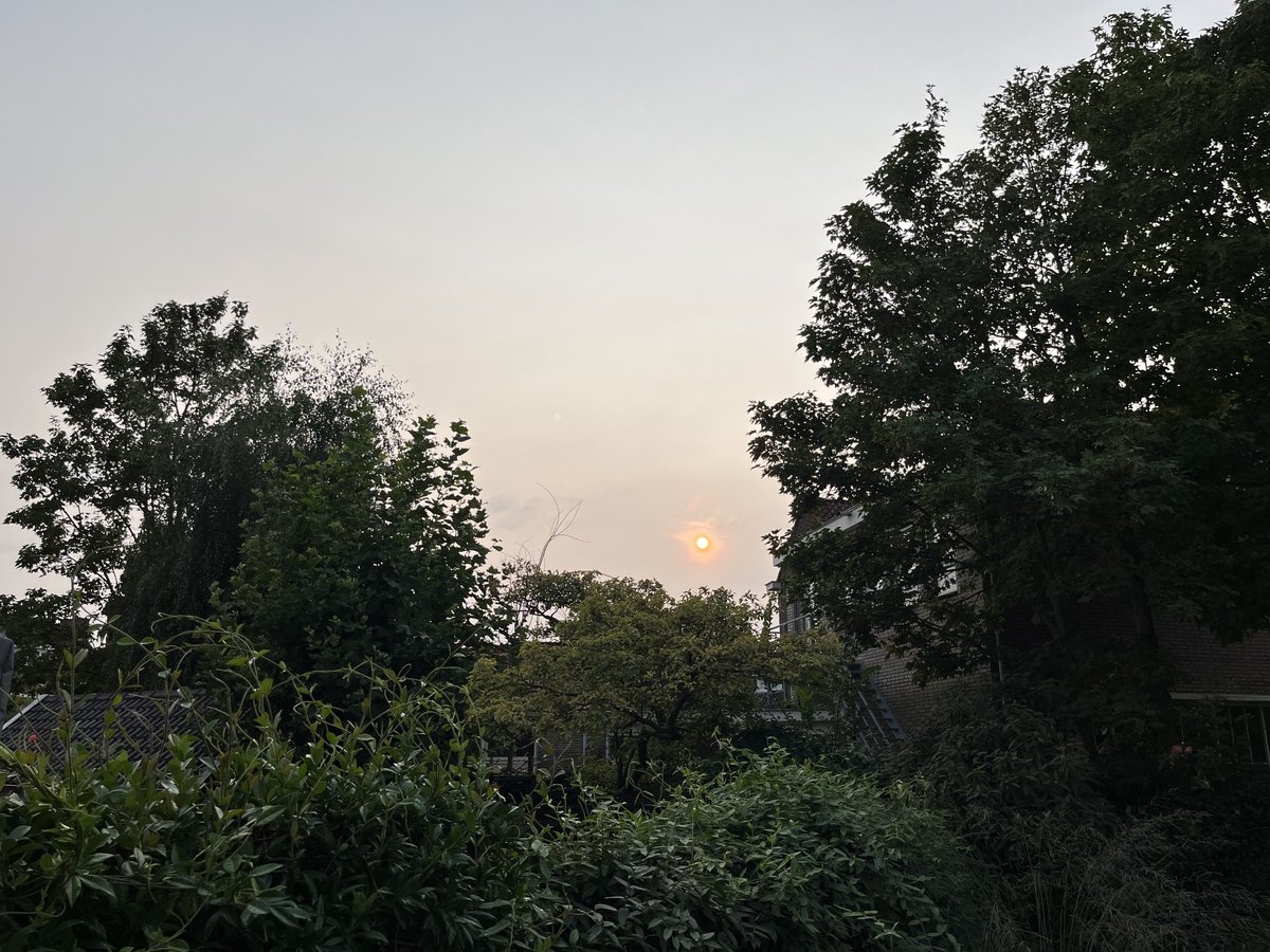 Als je denkt: waarom is die zon zo flets? Dat is rook van de bosbranden in Canada. #flets #zon #bosbrand #bosbranden #canada #canadawildfire #canadawildfires