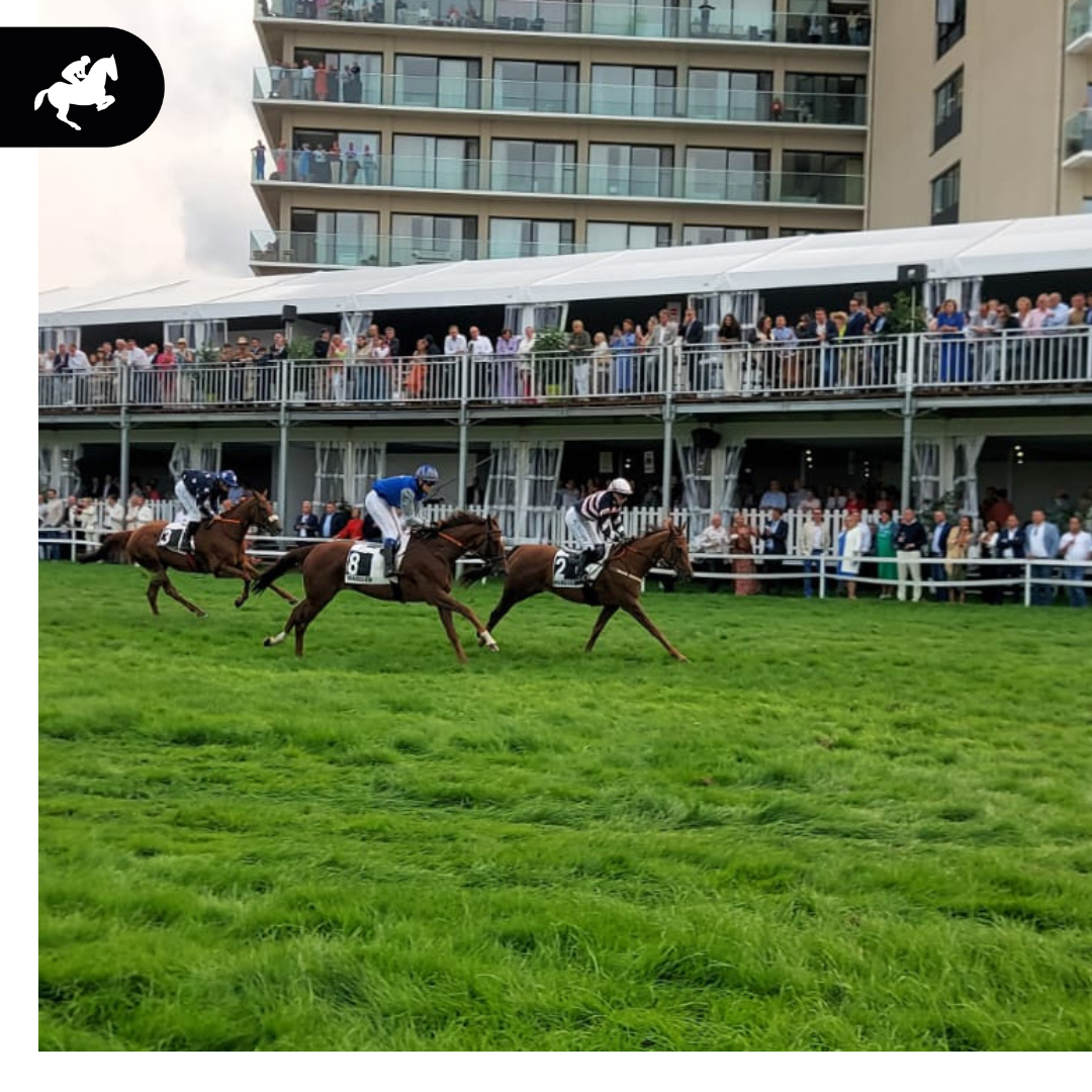 We naderen het einde... Een knappe zege voor Red Master in de Bingoal St Leger. Applaus ook voor jockey A. Van den Troost en warme felicitaties aan eigenaar S. Postema-Mulder. 👏✔️