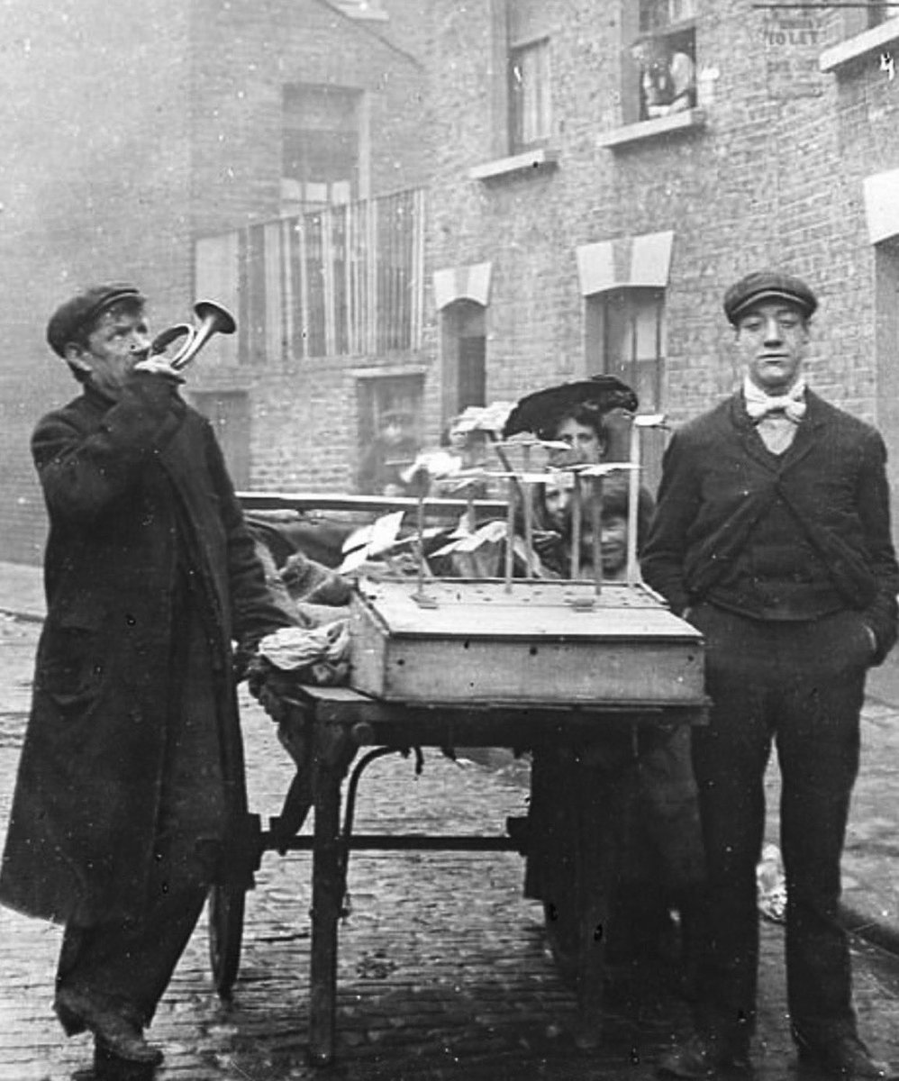 ℝ𝕚𝕡𝕡𝕖𝕣 tweet media