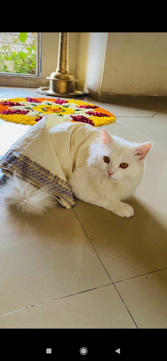 Priyankaemia's tweet photo. cutest onamashamsakal 🥰🥰 https://t.co/5cvynQPr7W