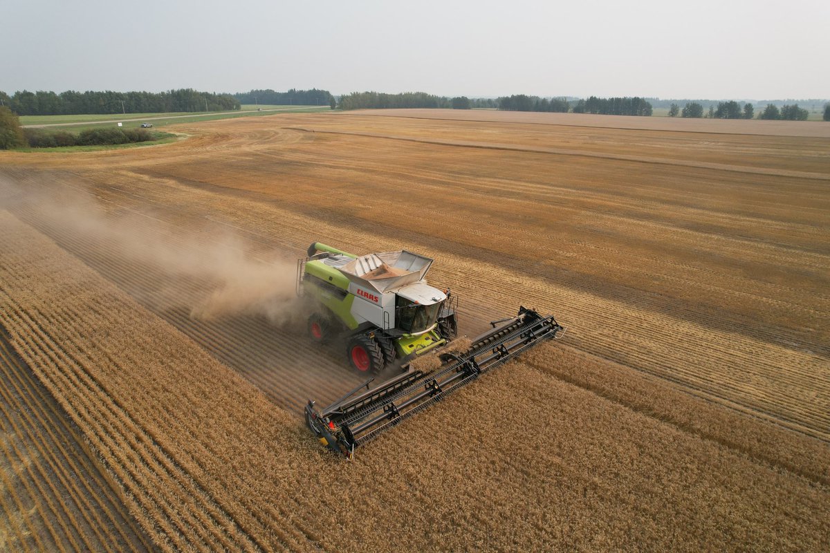 Randi Kuriga tweet media