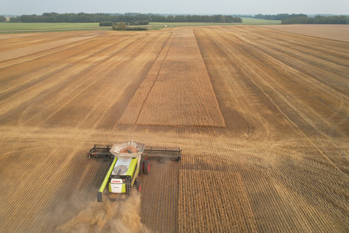 Randi Kuriga tweet media