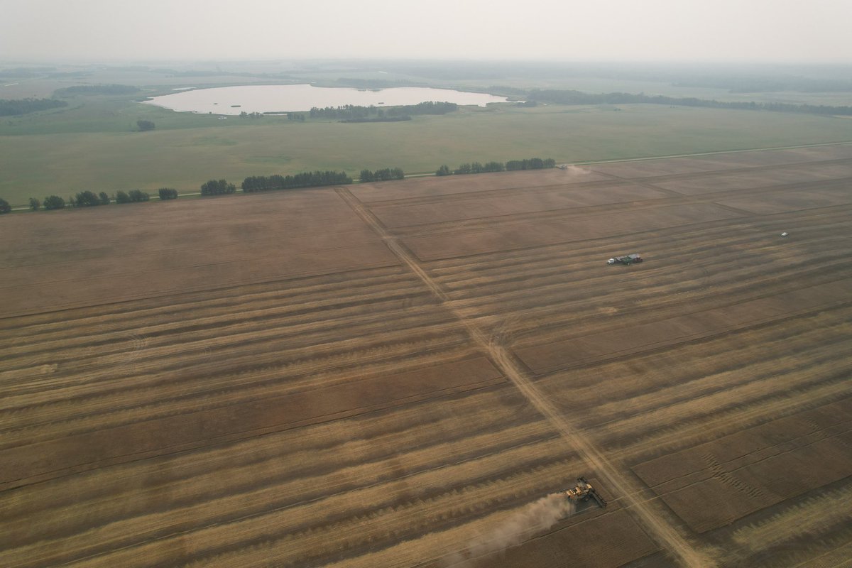 Randi Kuriga tweet media