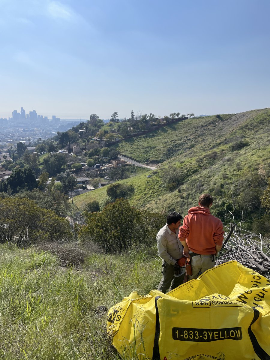 Would you like this to be your new office? We're hiring! 

Recruitment is underway for Entry and Mid Level Crew members in Landscape Construction &amp; Maintenance / Ecological Restoration.

More information at northeasttrees.org/work-with-us.