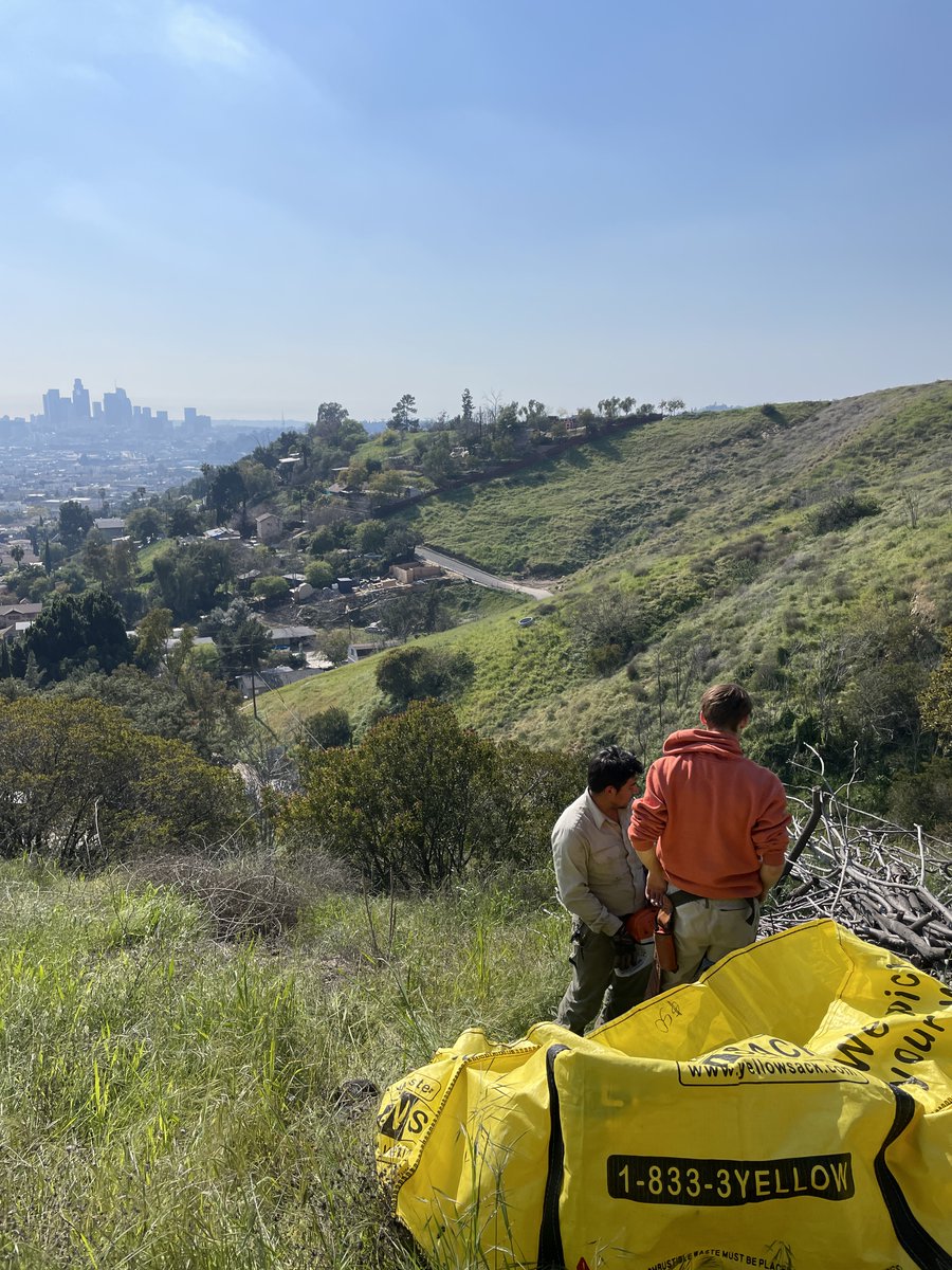 Would you like this to be your new office? We're hiring! Recruitment is underway for Entry and Mid Level Crew members in Landscape Construction & Maintenance / Ecological Restoration. More information at northeasttrees.org/work-with-us.