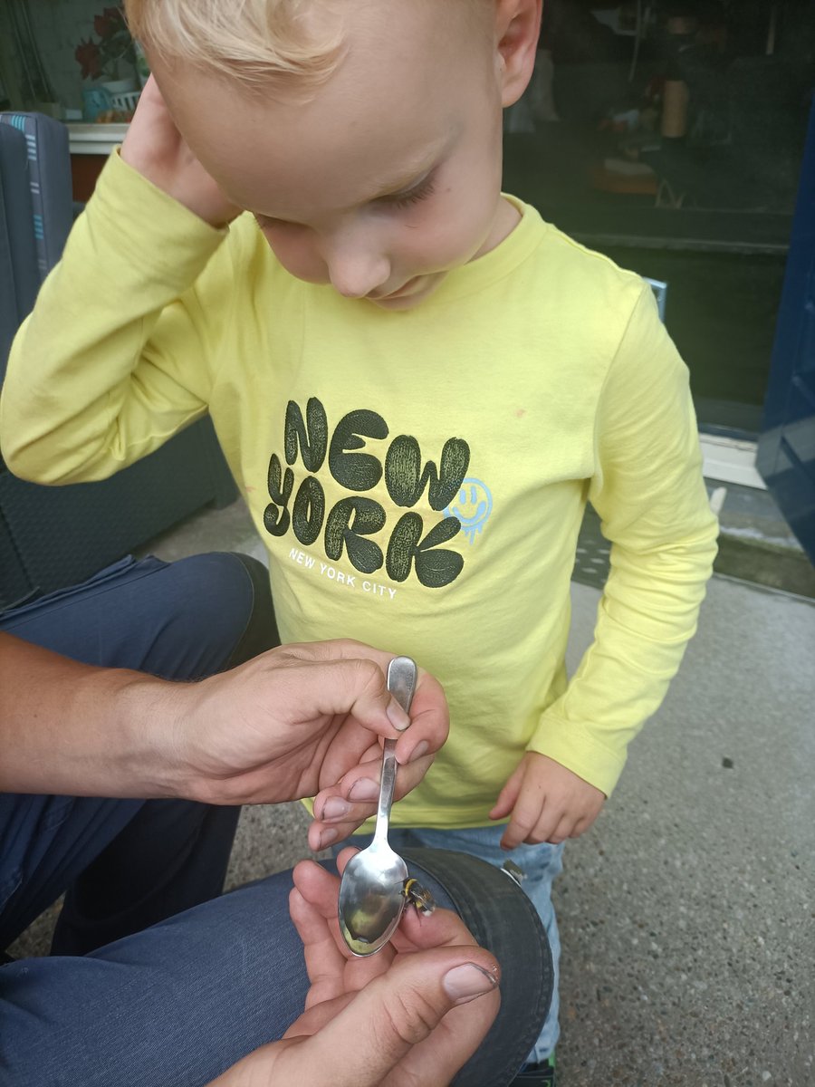 CinqPower's tweet photo. #reddebij #lepeltjewater
#LepeltjeOrs zou @DierenAmsterdam zeggen
Nu een ruim uurtje later ongeveer is de bij niet meer te zien. Dus hoogstwaarschijnlijk is deze missie geslaagd. Dit zal onze zoon nog wel π blijven denk ik zo maar https://t.co/fUQ7qou1ru