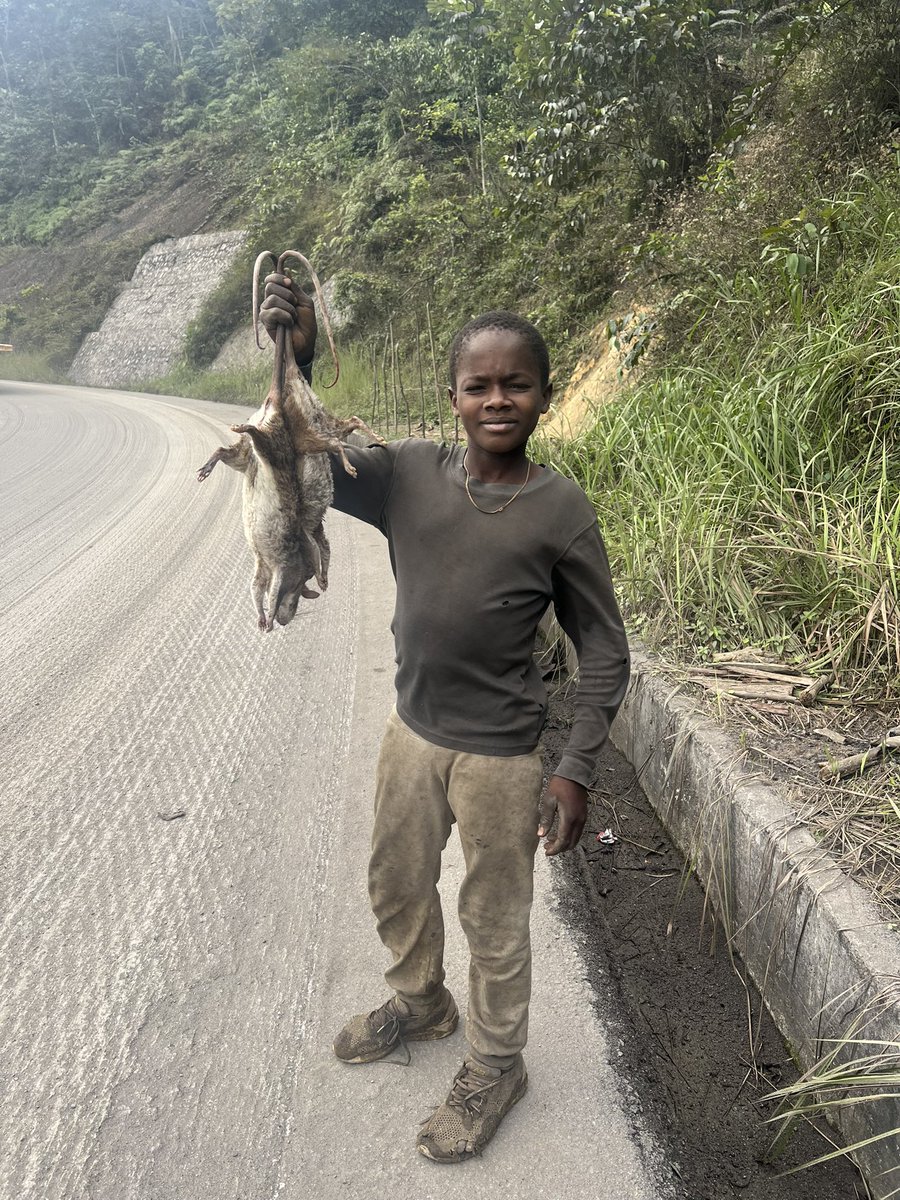 hardestgeezer's tweet image. This is Vian. From what I could gather he is 8 years old. He hunts animals all day and then sells them on the side of the road to passers by to help support his family. They live together in a hut made out of wood and corrugated iron in the jungle. No running water. No…
