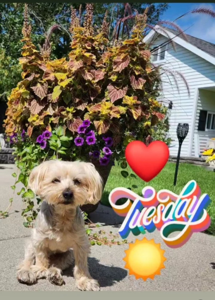 PersnlyFit's tweet photo. That #tuesdayvibe feeling! https://t.co/IcAhAqIhCO