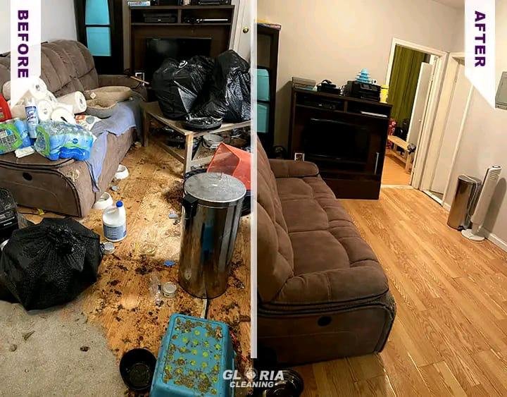 CleaningGloria's tweet image. Our expert cleaners work their magic, leaving no corner untouched. Experience the difference today! 🧹🏠 
☎️838 201 3231
📧customer@gloriacleaning.com
🪩gloriacleaning.com

#CleaningService #Transformation #SpotlessClean