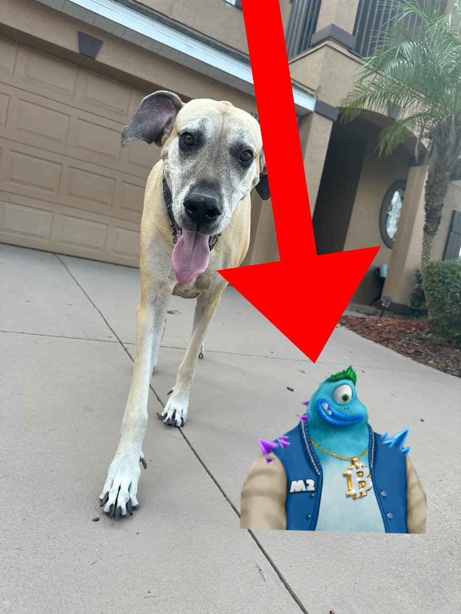 My dog won’t let our Monster out of her sight!! @MonsterMyCity Who’s dropping their code next??? Follow too see! #6160224test #MexicoCityTSTheErasTour #RIPWindhamRotunda #TrumpArrest #Abhiya #AFGvPAK #AVFC #BRICS