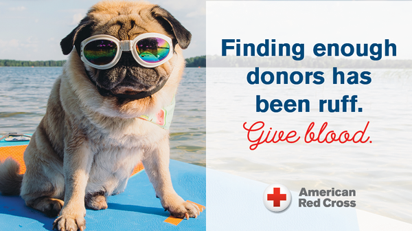GroveCityOhio's tweet image. .@ARCcsor reports a blood shortage.
🩸Donors, schedule an appointment in #GroveCityOhio now by calling 1-800-REDCROSS or schedule online bit.ly/RCblood, code: 43123
• Kingston Center, Friday, Sept. 1, 12-6P
• YMCA, Tuesday, Sept. 5,  11:30A-5:30P
#givenow #donateblood