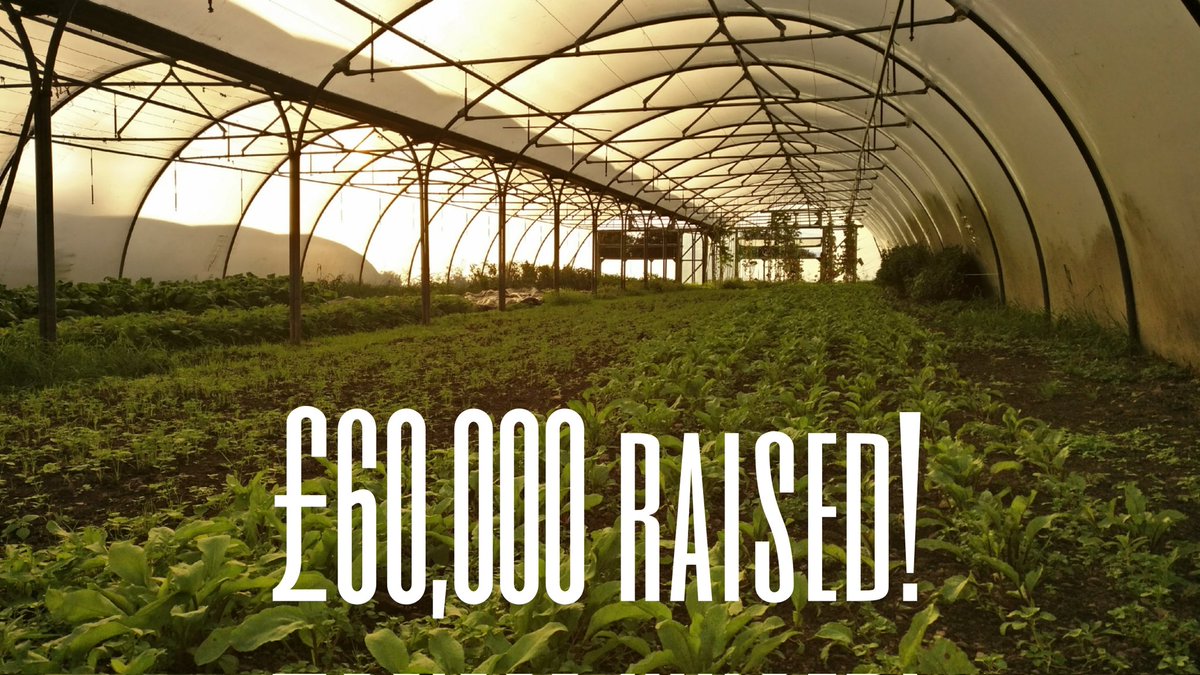£60,000 has been raised for our Community Share Offer!! Thank you all so much, we're so grateful to everyone who has invested so far. Want to get involved? Click the link below to become a co-owner of Tyddyn Teg: 👇
crowdfunder.co.uk/p/tyddyn-teg-c…