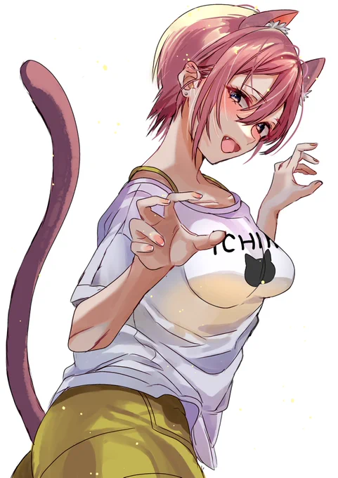 猫一花ちゃん^._.^