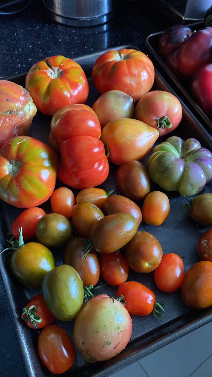 intothewildJMC's tweet photo. Harvest time https://t.co/aLP2UmPm3p