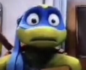 I want a pet pigeon so bad,, they bring me joy