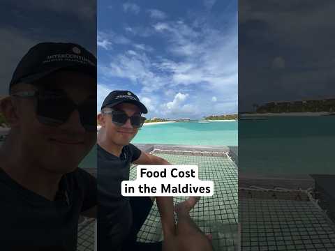 maxmilespoints's tweet image. I just posted a new YouTube video!

 Food prices at in the Maldives 🍽️ #creditcardpoints #milesandpoints

Link: youtube.com/watch?v=thl31s…