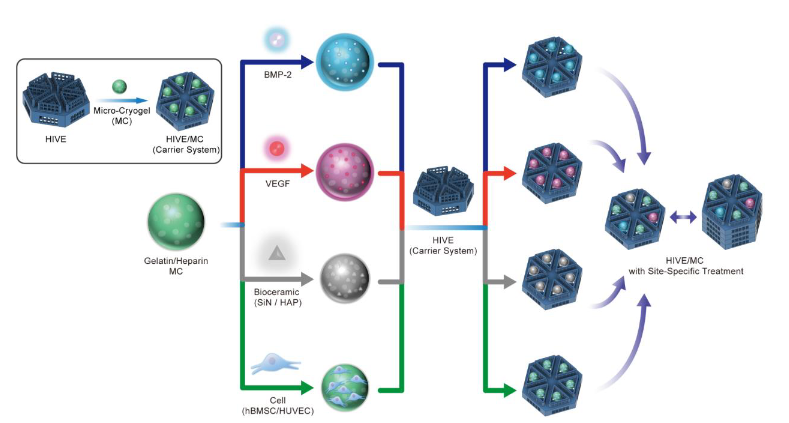 ExtracellMatrix's tweet photo. A team at @ETH describe 3D-printed assemblable bespoke scaffold, to be used as versatile #microcryogel carrier for site-specific #RegenerativeMedicine.
#OpenAccess in @AdvSciNews:
π https://t.co/5kh4zfL4H5 https://t.co/JHJJ70dkeR