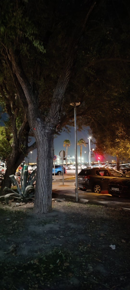 alvaritoodb's tweet photo. @CadizAbandonada Está son de plaza de la barrosa y del jardín que hay un excepto motos junto a plaza de Sancti Petri y plaza la Barrosa https://t.co/PLOqm4Wpqd