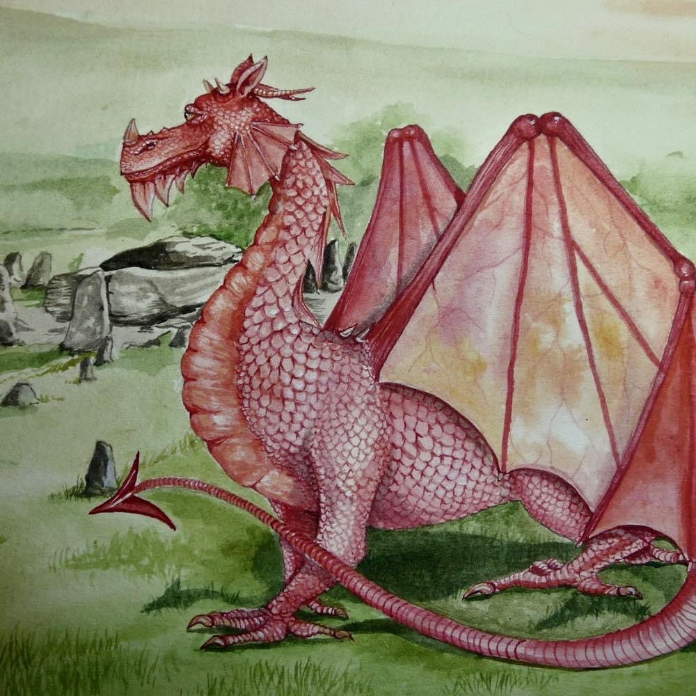 An older piece of work, Pontypridd Dragon watercolour on paper. Was a gift for my lovely Mother-in-law but now lives with us. #dragonart #welshdragon #dragons #illustration #fantasyart #watercolours