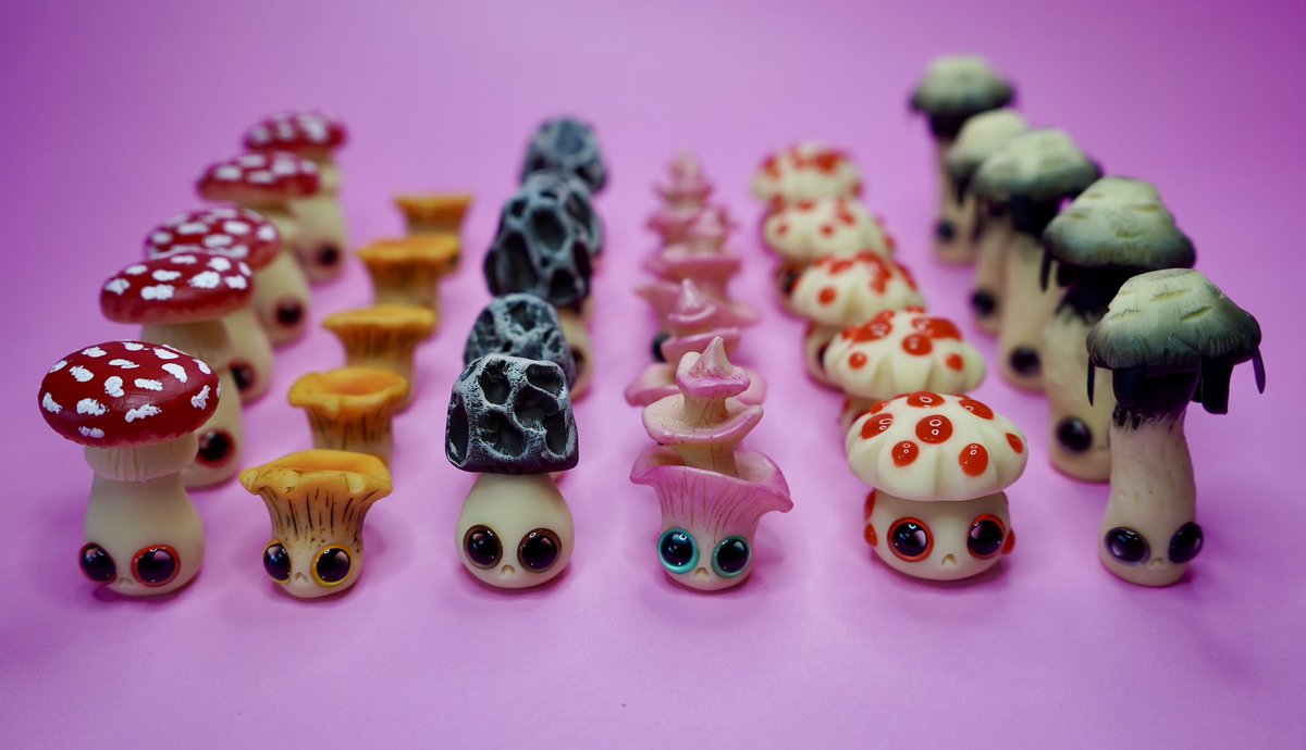 Carys Cuttlefish tweet media