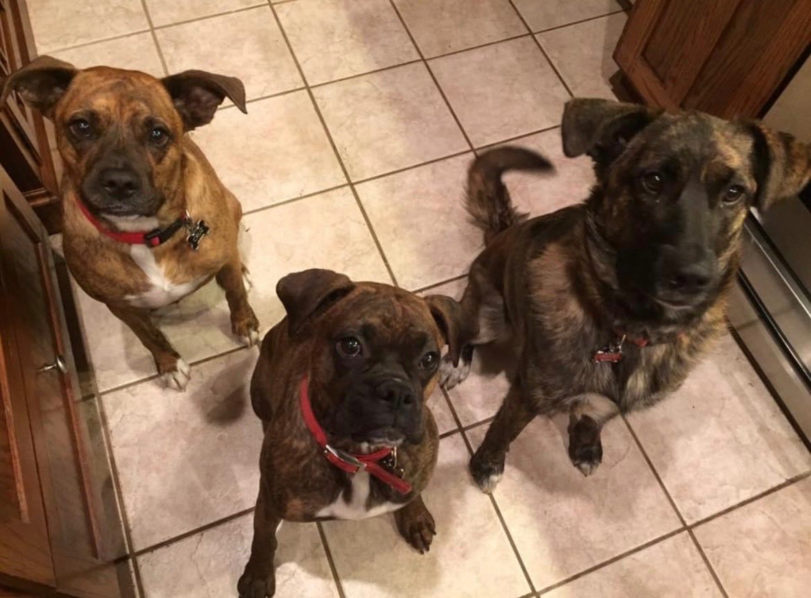 Randy Rainwater tweet media