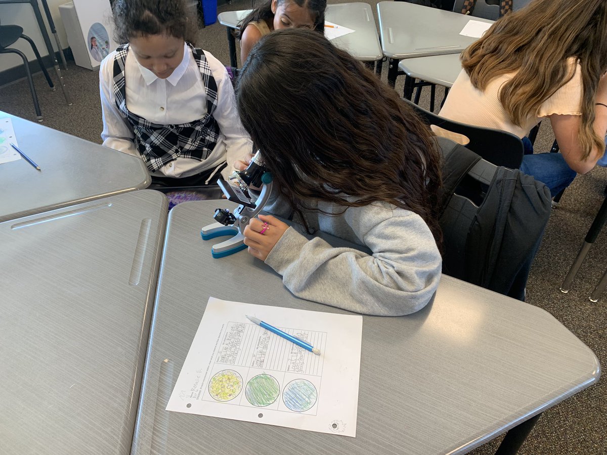 DawnMcMaster6's tweet image. Exploring our microscopic world! #burtonexperience #IBScience #SCIA